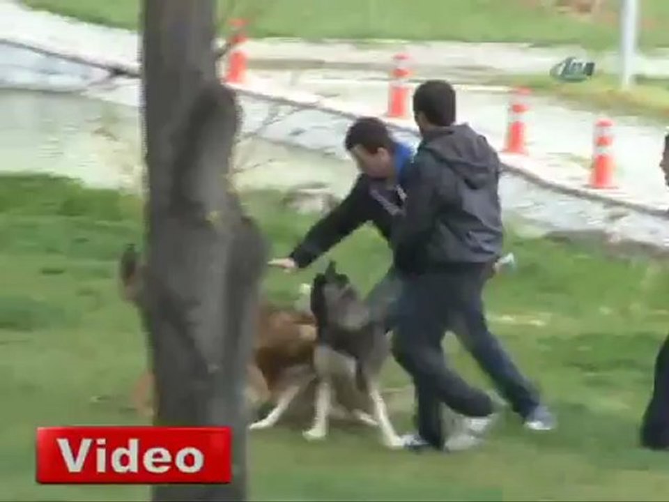 Bursa'nın göbeğinde vahşet!