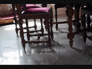 My Insatiable Love's Follow Your Heart