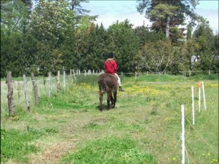 Candice & Leon ; Nos activités.