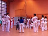 Jaden CADE Capoeira