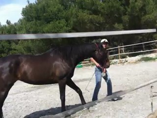 Apprentissage du pas espagnol par imitation : bientôt french cancan avec louloute !