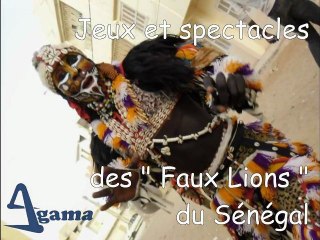faux lions du Sénégal, jeux spectacle symbolique