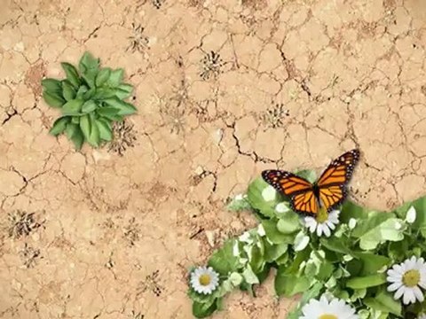 Petaluma Hyundai in Marin County with a 2012 Hyundai Genesis