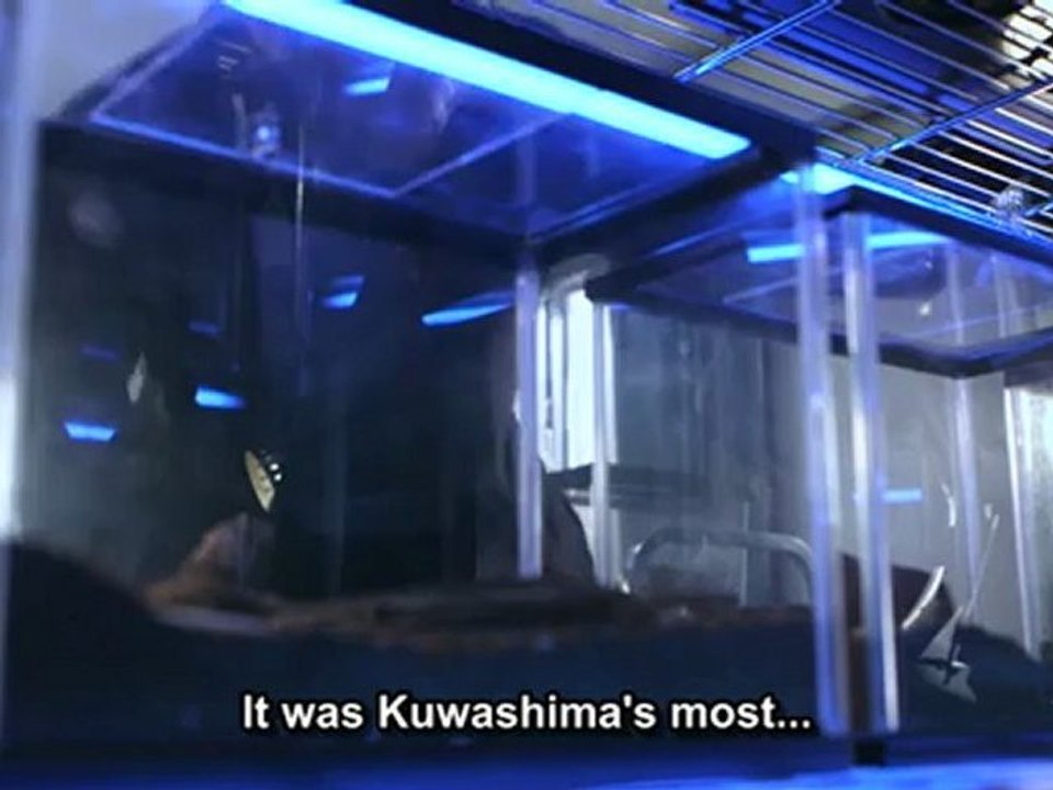 Kagi no 4.3
