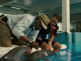 Dolphin Tale - Clip - Tail On A Fish