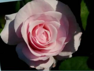 Revive Romance in Your Life 💖