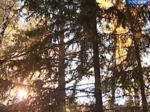 Осторожно, зеркала! Всевидящие