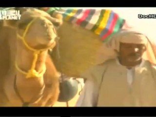 افريقيا البرية الصحراء الكبرى