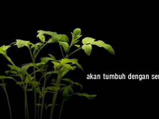 Mengawali Dengan Cerdas dan Bijaksana