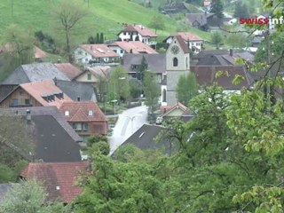 "Waste" wood used to heat Swiss villages