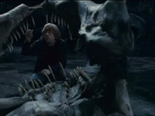Harry Potter and the Deathly Hallows - Part 2 - Clip - Chamber Of Secrets
