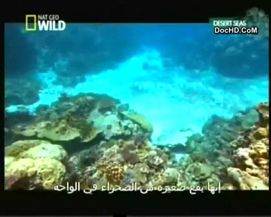 البحار الصحراوية