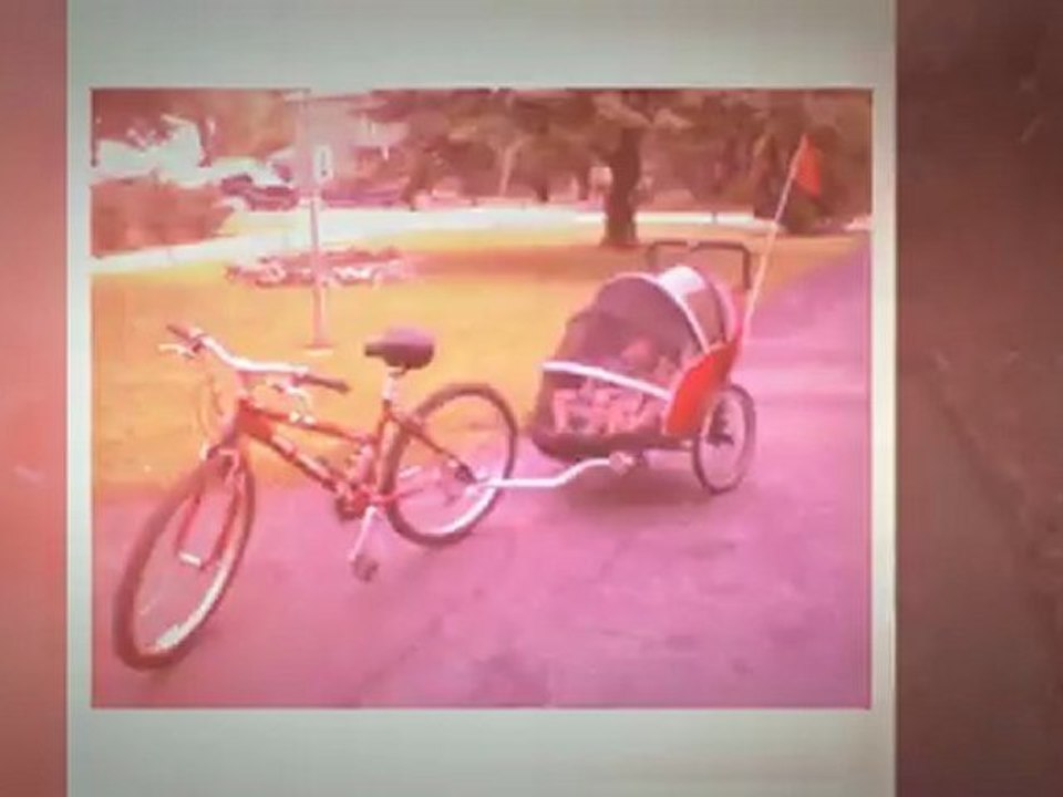 Schwinn Joyrider Bike Trailer 2008
