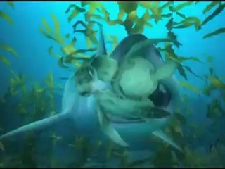 A Turtle's Tale: Sammy's Adventures - Clip - Shark
