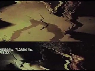 Guinea Pigs - Trailer