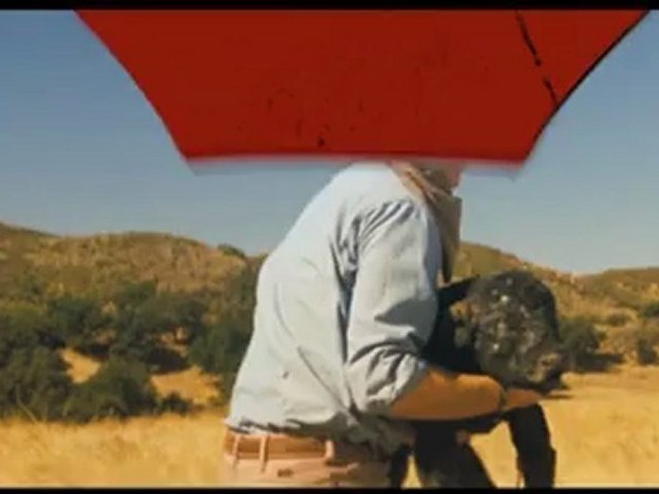 Casa De Mi Padre - Teaser Trailer