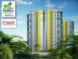 Paranjape Schemes Blueridge Premium Apartments Hinjewadi