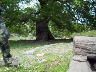 ÇINARALTINDA KURBAĞA SENFONİSİ