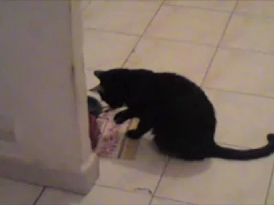 nikita2