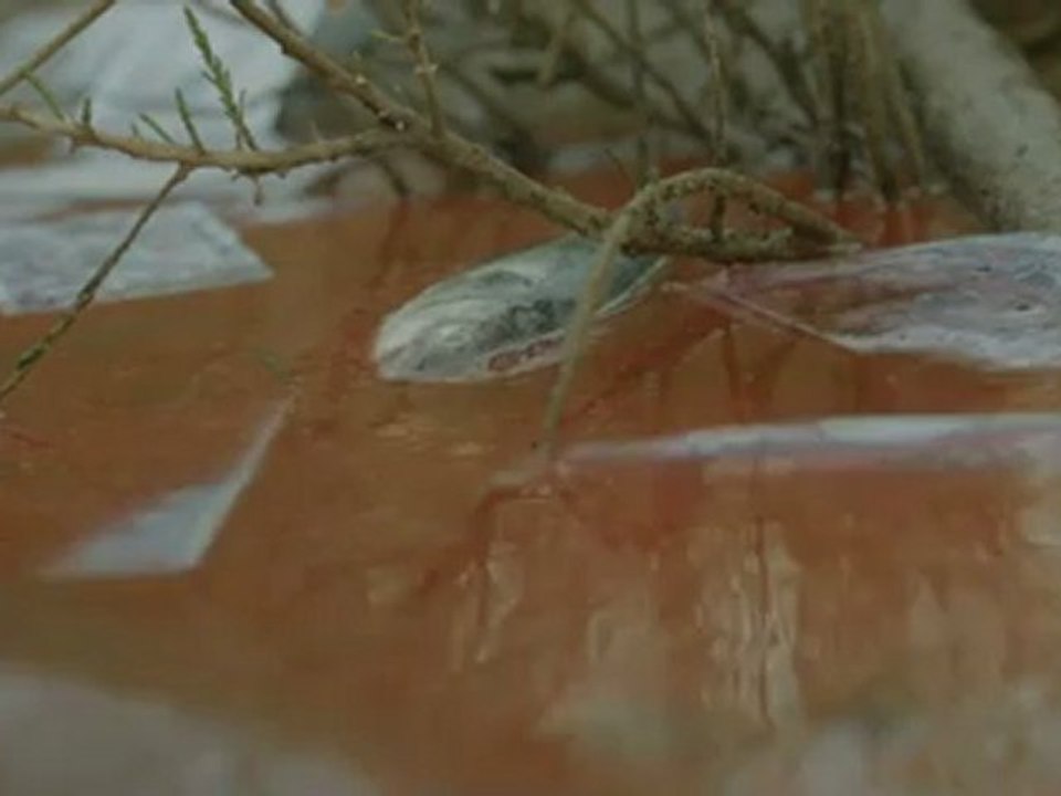 Pub Amnesty International - L'argent rend aveugle ?