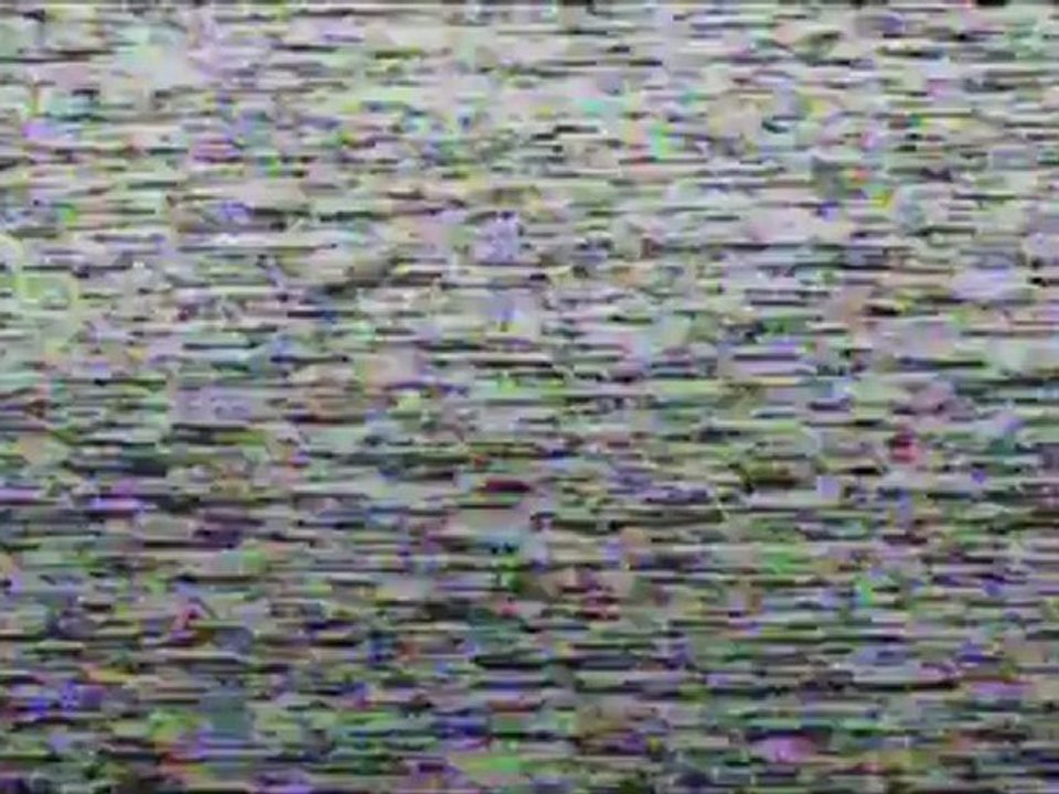 Trash Humpers - Trailer