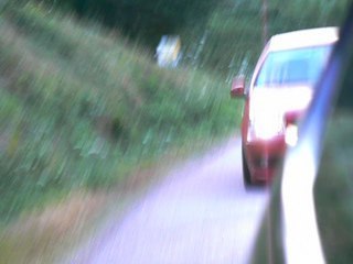 Polo on road