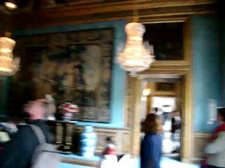 Château de Vaux-Le-Vicomte 241