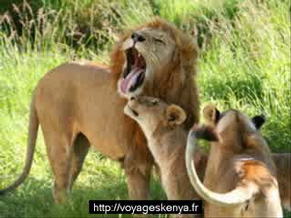 Voyageskenya.fr