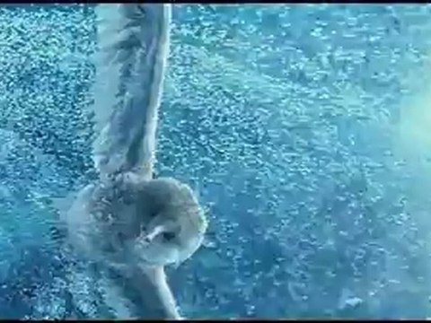 Legend of the Guardians: The Owls Of Ga'Hoole - Clip - Use Your Gizzard