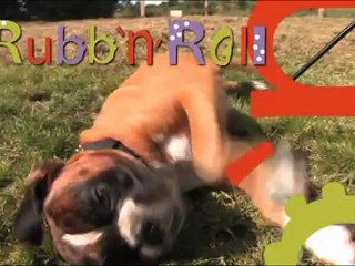 Rubb'n'Roll : le jouet caoutchouc non toxique pour chiens et chats