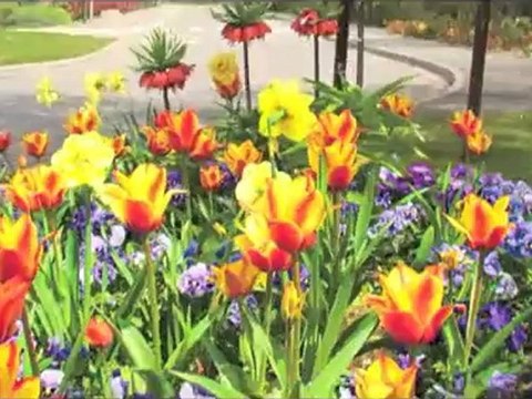 Interview de Marcel Gouiller, Premier Maire Adjoint