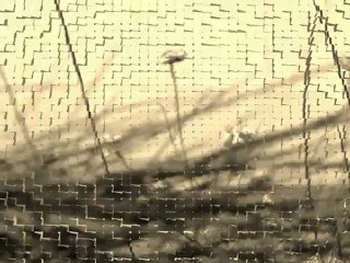 craig armstrong finding beauty