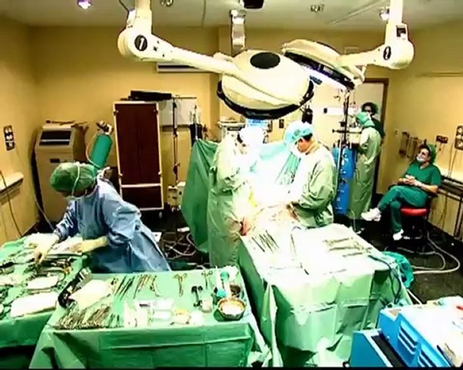 Del cerdo nos vendrán los órganos para transplantes