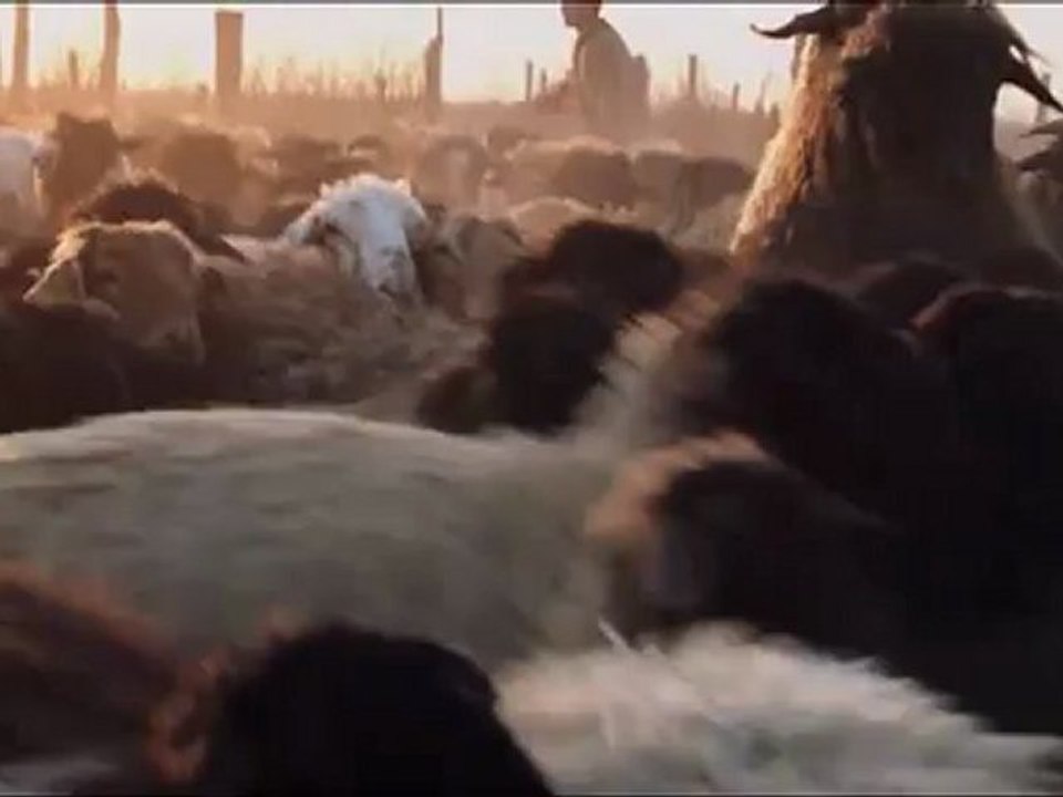 Tulpan - Trailer