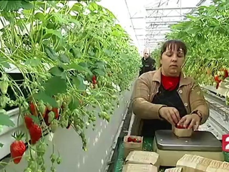"Rungis, l'hyper marché" le feuilleton JT 13h du 11 mai 2012