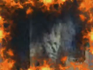 9_11 can you see the faces in the smoke-