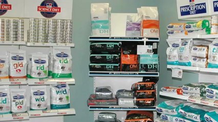 Veterinarian Tollendal Barrie Big Bay Animal Hospital