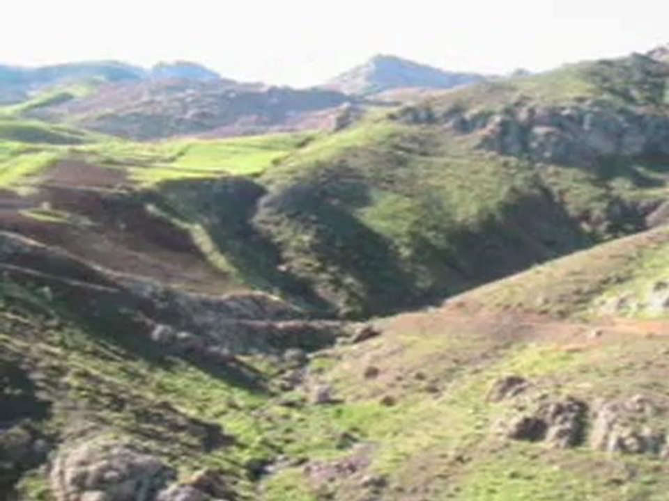 REWİTİYA ZOZAN---ALDUŞ SEMSÜR