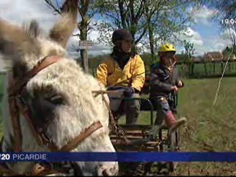 Concours d'attelage d'ânes à Villotran (60)