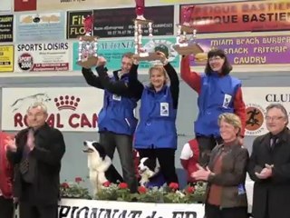Championat de France d'obéissance canine