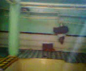 bain mort  depuis  1936