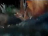 Piranha 3D - Clip - Night Discovery