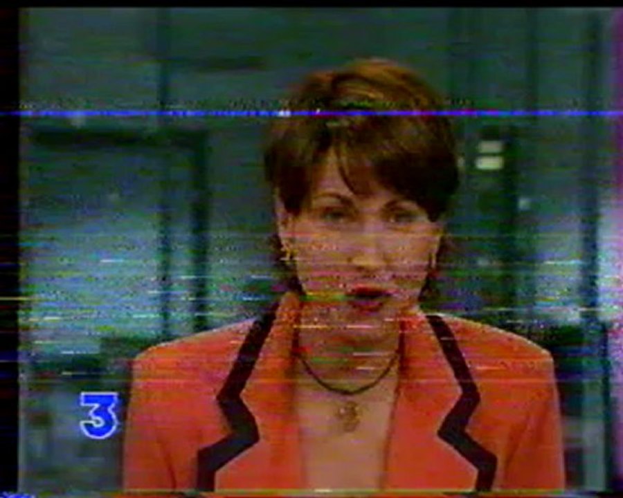 Les fouilles du site néolithique de la ZAC d'Alfort II à Maisons-Alfort (Journal 19-20, FR3 Île-de-France, septembre 1995)