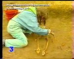 Fin des fouilles à Maisons-Alfort (Journal résumé12-13, FR3 Île-de-France, 23 octobre 1995)