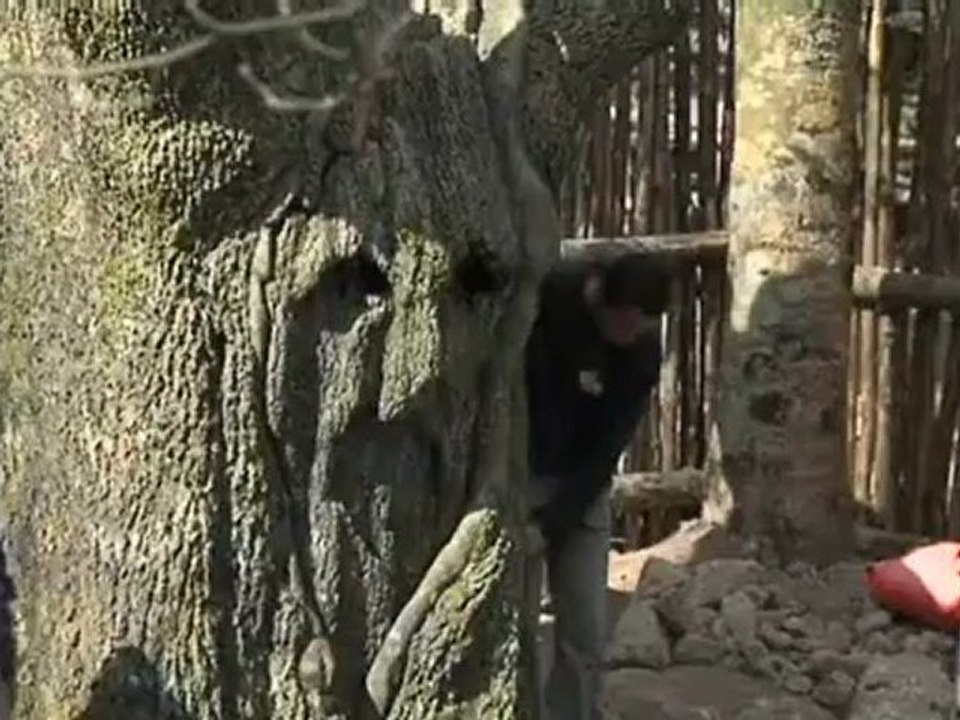 Première au Puy du Fou du spectacle consacré à la Fontaine