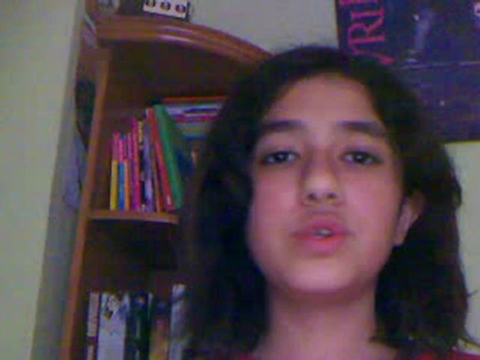 webcam_1336752614903