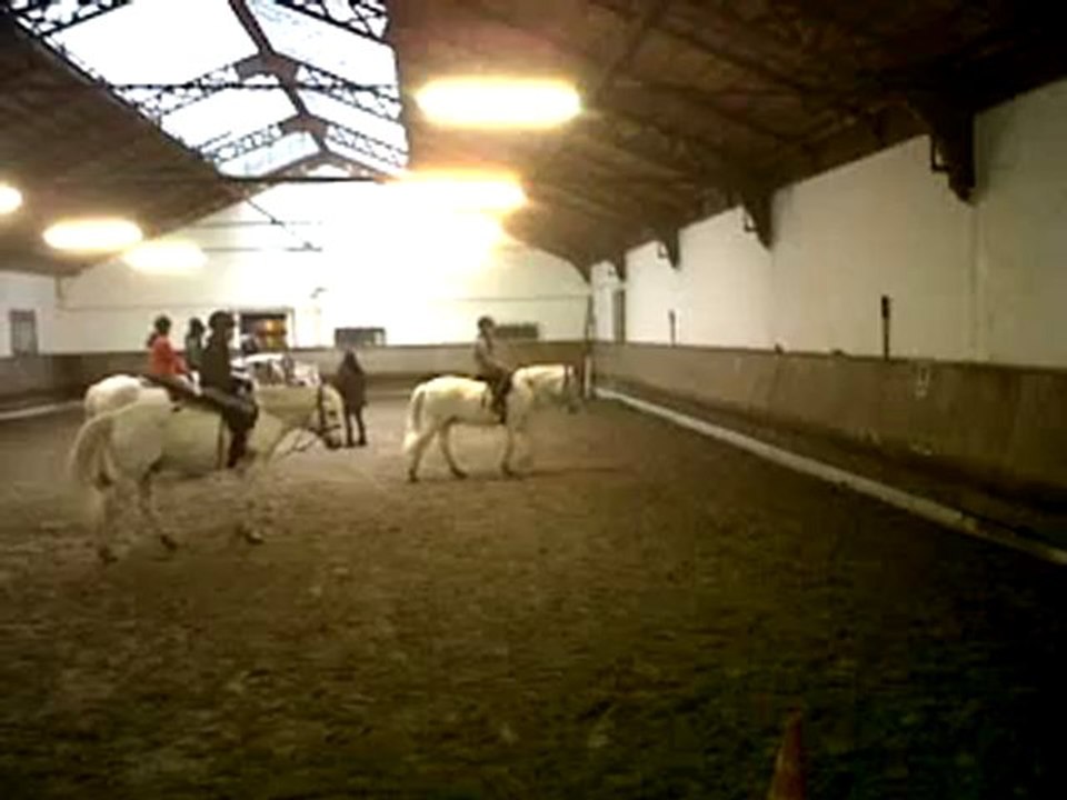 Galop avec Lobo le 8 janvier 2012