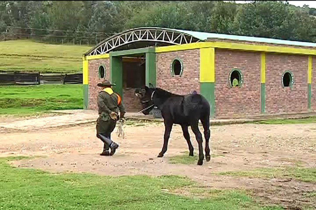 POLICIA CRIADERO SANTA ROSA 2 Mayo 11 de 2012