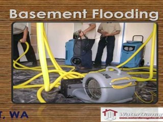 Basement Flooding Kent