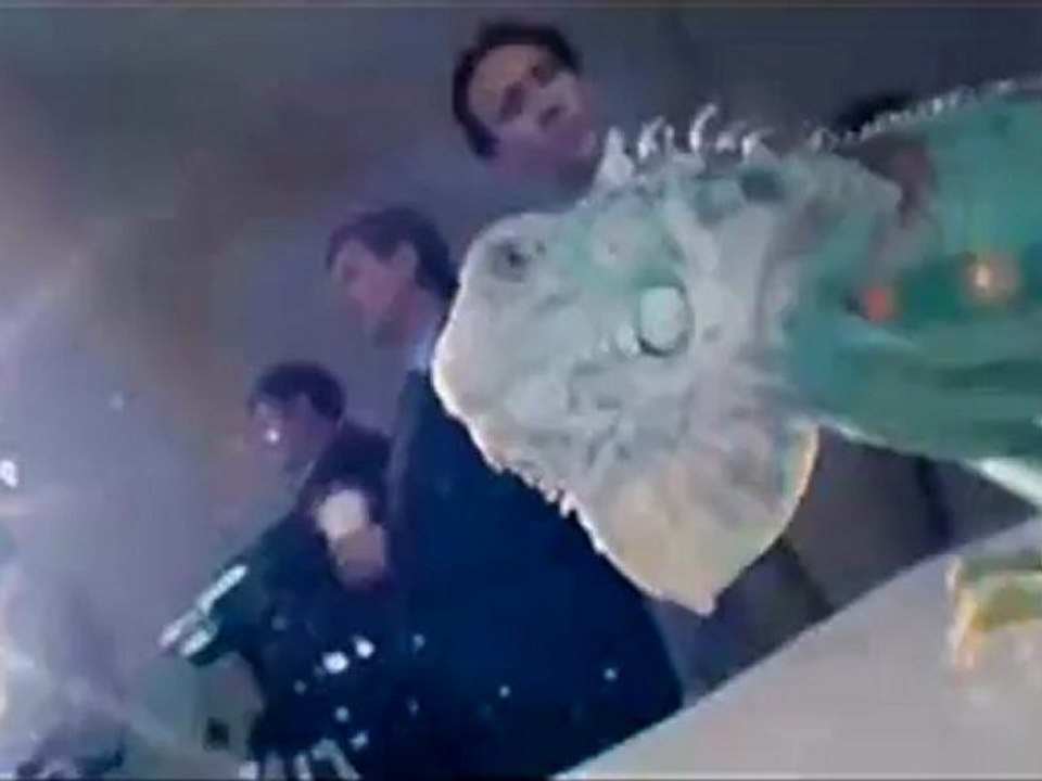 Bad Lieutenant - Clip - Iguanas